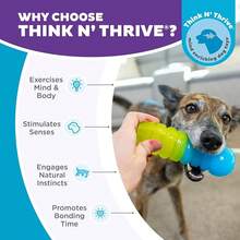 Outward Hound Gummiez Bear 2-In-1 Dental Dog Chew Toy And Dog Treat Stuffer Game, Blue Raspberry Scent, Blue - Gummiez Worm - View 6