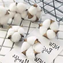 Natural Dried Cotton Stems 8-Pack For Floral Arrangements - 8 - View 10