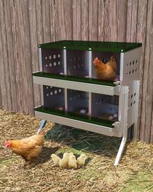 Techigher Metal Chicken Nesting Boxes For Laying Eggs,6-Holes Nesting Boxes,Waterproof Ventilated Wall-Mountable Roll Away Chicken Laying Boxes With Perch,Easy Egg Collection With Legs - Green - View 1