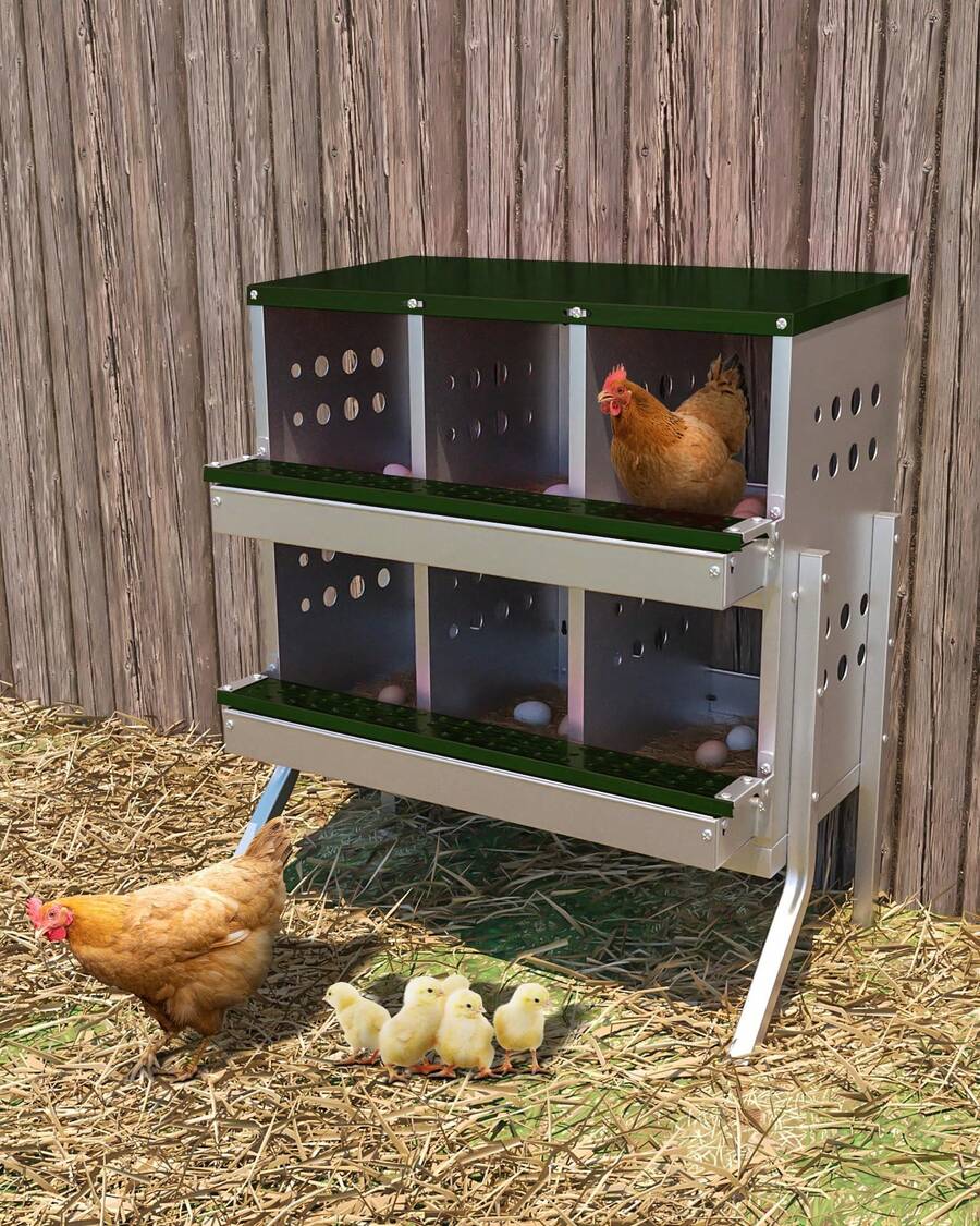 Techigher Metal Chicken Nesting Boxes For Laying Eggs,6-Holes Nesting Boxes,Waterproof Ventilated Wall-Mountable Roll Away Chicken Laying Boxes With Perch,Easy Egg Collection With Legs - Green - View 1