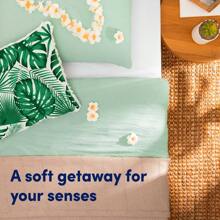 SunshineGetaways Collect Laundry Scent Booster Beads Bundle Includes All 3 Limited Scents