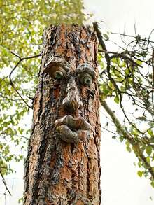 1 món đồ trang trí hình mặt cây, tranh nghệ thuật hình mặt cây ngoài trời, đồ trang trí thân cây hình mặt cây, đồ trang trí cây ngoài trời - Nhiều màu - Xem 4