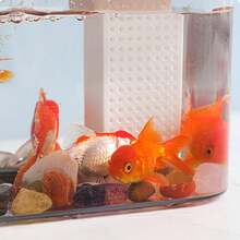 Techigher Fish Tank With Lid,Small Betta Fish Tank,Fish Bowl,Plastic Transparent Aquarium Kit,Desktop Decor For Betta Fish Shrimp Goldfish - Transparent - View 4