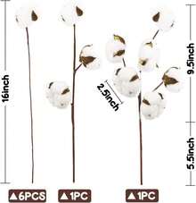 Natural Dried Cotton Stems 8-Pack For Floral Arrangements - 30 - 查看 5