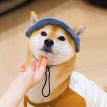 1 pièce Chapeau de seau en matière de denim pour animaux de compagnie, oreilles exposées, convenant aux activités extérieures des chats et chiens pour les protéger du soleil