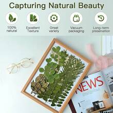 Dried Pressed Flowers Resin, Real Pressed Flowers Dry Leaves Bulk Natural Herbs Kit Scrapbooking Art Crafts, Resin Soap Candle Scrapbook Supplies Card Making Jewelry (Green) - 綠色 - 查看 8