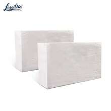 新博文 500/1000G 石质风干造型粘土 柔韧风干造型粘土，适用于雕塑和涂层 - 入门级风干造型粘土 - 造型粘土，适用于雕塑等（白色），学校用品，返校