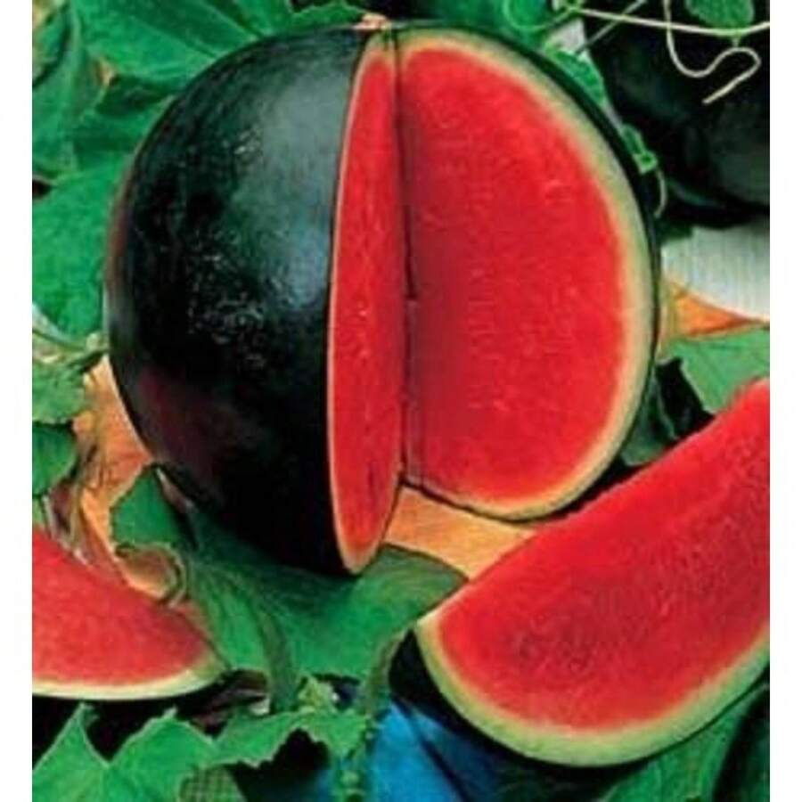 200 piezas de semillas, melones, semillas de frutas, plantas de flores de exterior, jardinería, naturaleza - 200 - Ver 1