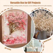 Free ShippingNatural Dried Gypsophila Flowers White S Breath Stems For Home Decor, Weddings, Crafts