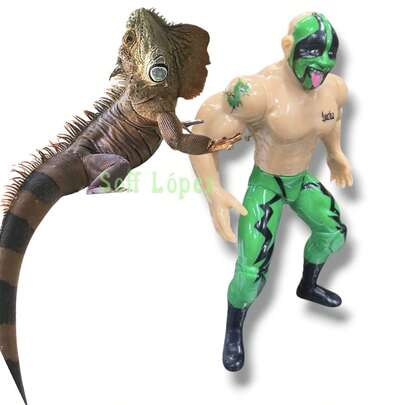 1 Figura Luchador de Arena Figuras de la Lucha libre Mexicana