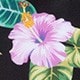 Nhiều màu