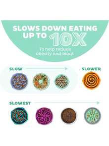 Fun Feeder Slo Bowl Slow Pet Feeder Bowl For Dogs In Mint Plastic - 作為 - 查看 4