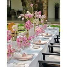 30/70 Semillas de Loto y Bonsai, semillas de loto para cortar y usar en arreglos florales, bonsai de loto de colores mixtos pre-germinados, fácil crecimiento con cuidado mínimo, incluye guía de plantación - 70 semillas - Ver 4