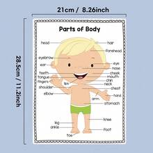 2pcs A4 Body Part Posters, Cartoon Style Anatomy Chart Educational Wall Decor For Kids - Multicolor - View 5