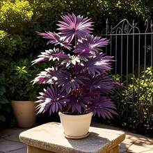 人造盆栽棕榈树，带 12/18/24 片塑料叶子，适合家庭和办公室装饰、婚礼、周年纪念日和复活节、排灯节、棕榈主日、圣帕特里克节、情人节等节日，适合室内外使用，不含花盆，假植物