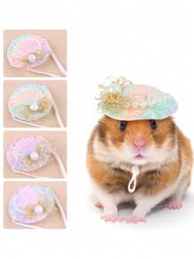 1 件/2 件宠物帽，渐变小宠物派对帽，适合小动物，有趣的装扮帽子，彩虹，仓鼠，珍珠，鹦鹉，蛇，鸟，蜥蜴，鸡