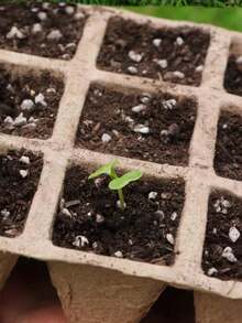 Seed Starter Tray Kit, Plant Seedling Germination Tray Set - Brown - View 1