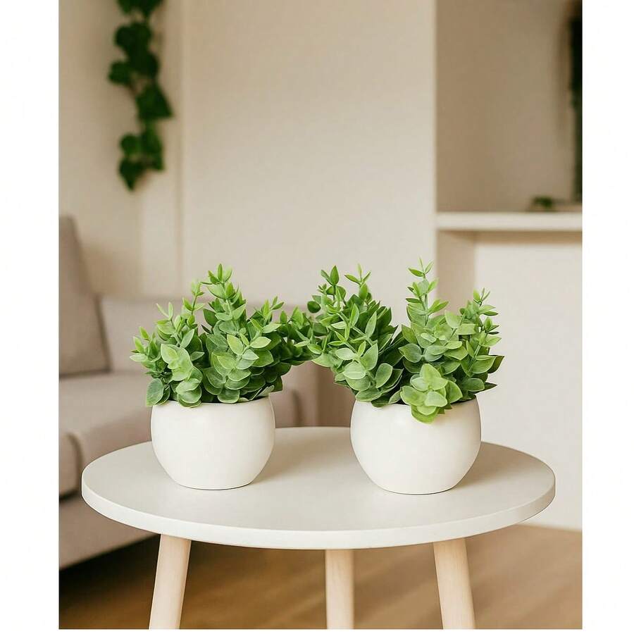 2 Artificial Succulent Plants With Pots Home Decoration - 白色 - 查看 1