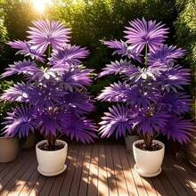 人造盆栽棕榈树，带 12/18/24 片塑料叶子，适合家庭和办公室装饰、婚礼、周年纪念日和复活节、排灯节、棕榈主日、圣帕特里克节、情人节等节日，适合室内外使用，不含花盆，假植物