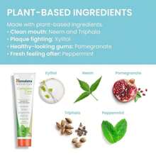 Himalaya Botanique Complete Care Toothpaste, Herbal, Mint Flavor, Fights Plaque, Freshens Breath, Fluoride Free, No Artificial Flavors, SLS Free, Cruelty Free, Foaming, 529 Oz, 1 Pack