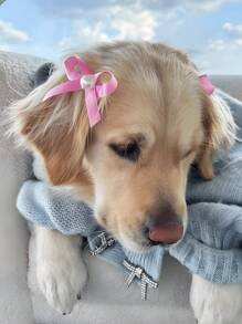 6pcs/Set Pet Bow Hair Clips, Cute Cat Pearl Bow Hair Accessories For Dog Birthday Decoration