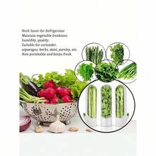 1pc/2pcs/3pcs Vegetable Freshness Containers, Keeps Cilantro, Asparagus Fresh, Suitable For Refrigerator Use, Preserves Bottled Herbs Freshness, Mint Fridge Storage, Keeps Greens Fresh For 2-3 Weeks, Vegetable Preserving Supplies - White - View 6