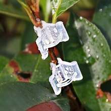 1pcs Reusable PP Plastic Grafting Clips, Plant Support Clips For Vegetable And Fruit Seedlings