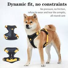 HP524 轻型多功能宠物胸背带 - 彩色 - 查看 9