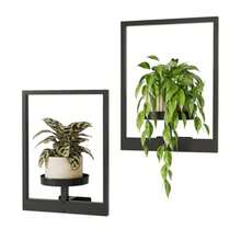 Wall Planters For Indoor Plants Metal WallMounted Plant Hanging Holder Hanger 2Pack 30 * 11 * 40Cm Black - 黑色 - 查看 1