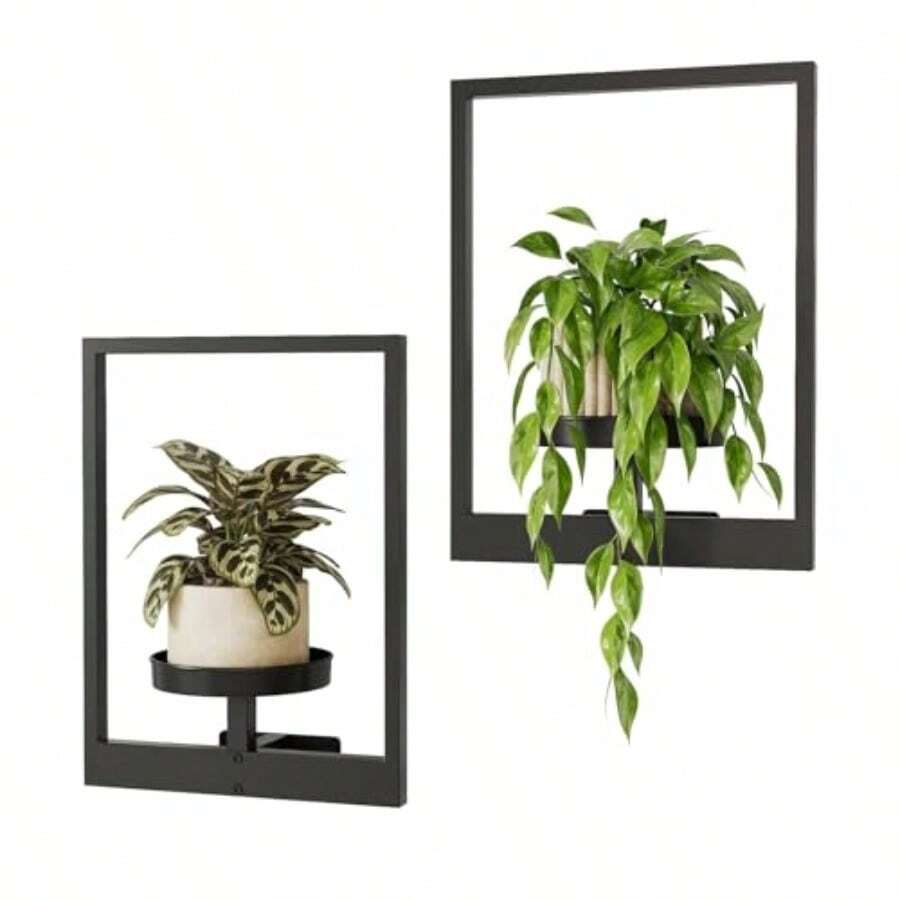 Wall Planters For Indoor Plants Metal WallMounted Plant Hanging Holder Hanger 2Pack 30 * 11 * 40Cm Black - 黑色 - 查看 1