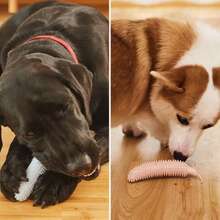 1 件装狗狗玩具黄瓜咀嚼棒，耐用磨牙棒，适用于幼犬、泰迪犬、小型犬和大型犬，硅胶制成 - 彩色 - 查看 4