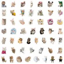 One Set Of 100 Funny Cat Stickers, Creative DIY Self-Adhesive Stickers For Decorating Water Bottles, Laptops, Skateboards, Guitars, Suitcases, Helmets, Cameras, Notebooks - Paper Material