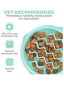Fun Feeder Slo Bowl Slow Pet Feeder Bowl For Dogs In Mint Plastic - 作為 - 查看 3