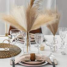 15 حبة أو 6 حبة/حزمة من نبات البوص الجاف، زهور إصطناعية وردية متفتحة، ديكور بحري "بوهو"، لملء الأوعية، ديكور منزلي عصري، زينة حفل الزفاف