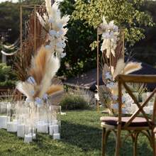 15 حبة أو 6 حبة/حزمة من نبات البوص الجاف، زهور إصطناعية وردية متفتحة، ديكور بحري "بوهو"، لملء الأوعية، ديكور منزلي عصري، زينة حفل الزفاف