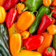 233 Pieces Outdoor Seeds Paprika Seeds, Birthday And Holiday Gifts For Old Friends, The Best Choice For Gifts - 233 - View 3