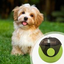 1pc Cat & Dog Hair Removal Lint Remover Comb - Pet Brush For Removing Floating Hair, Pet-Specific Needle Comb - Multicolor - View 3