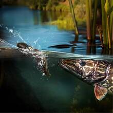 Avlcoaky 1pc 10cm/ 21.5g Soft Squid Skirts Bait Fishing Lure Octopus PVC Rubber Artificial Soft Bait Trolling Lure - Multicolor - View 8