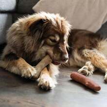 Outward Hound Dogwood Wood Durable Dog Chew Toys, Real Wood &Amp; Calming Hemp, 2-Pack, Medium - 山茱萸和牧豆樹(2 件裝) - 查看 8