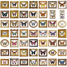 52Pcs Vintage Butterfly Photo Frames Stickers PET Transparent Decorative Decals Butterfly Stickers Insect Stickers Aesthetic Stickers Waterproof Stickers Aesthetic Laptop Sticker Pack Skateboard Stickers Water Bottle Stickers Notebook Stickers