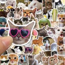 One Set Of 100 Funny Cat Stickers, Creative DIY Self-Adhesive Stickers For Decorating Water Bottles, Laptops, Skateboards, Guitars, Suitcases, Helmets, Cameras, Notebooks - Paper Material