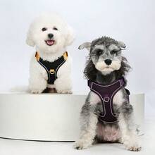 HP524 轻型多功能宠物胸背带 - 彩色 - 查看 11