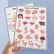 2pcs A4 Body Part Posters, Cartoon Style Anatomy Chart Educational Wall Decor For Kids - Multicolor - View 3