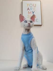 Lightweight Summer 4-Leg Breathable Fresh Sphynx Hairless Cat Clothes, Prevent Scratching Full Body Coverage