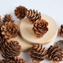20 PIEZAS de 1-3CM Piñas en miniatura DIY para colgar en el árbol de Navidad, decoraciones de piñas de Navidad para fiesta, año nuevo y accesorios (estilo aleatorio) 30 PIEZAS Set de 10 piezas de 4-6cm Piñas en miniatura para decoraciones naturales DIY, colgantes para fiestas, decoraciones del árbol de Navidad y decoraciones de fiesta, variedad de estilos para elegir