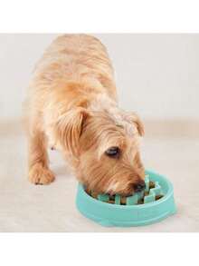 Fun Feeder Slo Bowl Slow Pet Feeder Bowl For Dogs In Mint Plastic - 作為 - 查看 6