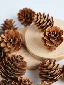 20 PIEZAS de 1-3CM Piñas en miniatura DIY para colgar en el árbol de Navidad, decoraciones de piñas de Navidad para fiesta, año nuevo y accesorios (estilo aleatorio) 30 PIEZAS Set de 10 piezas de 4-6cm Piñas en miniatura para decoraciones naturales DIY, colgantes para fiestas, decoraciones del árbol de Navidad y decoraciones de fiesta, variedad de estilos para elegir