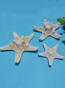 2 件/4 件干海星装饰，7-10 厘米白色巨型海星，适用于海滩婚礼中心装饰，散装海洋标本海星，海洋主题派对树脂海星用品，沿海家居装饰海星，水族馆装饰品和波西米亚风 DIY 工艺品，适用于航海主题派对的海星，摄影道具和贝壳壁挂 - 彩色 - 查看 9