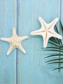 2 件/4 件干海星装饰，7-10 厘米白色巨型海星，适用于海滩婚礼中心装饰，散装海洋标本海星，海洋主题派对树脂海星用品，沿海家居装饰海星，水族馆装饰品和波西米亚风 DIY 工艺品，适用于航海主题派对的海星，摄影道具和贝壳壁挂 - 彩色 - 查看 3