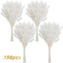 60/120 Pezzi di Fiori Naturali Essiccati per Decorazione, Fiori di Erba di Coda di Coniglio Naturali Essiccati, Erba di Pampas Essiccata, Utilizzati per Decorazione Domestica, Decorazione Matrimonio, Decorazione Festa, Artigianato Fai-da-te, Accessori per Servizi Fotografici, Decorazione a Tema, 45cm (Bianco)